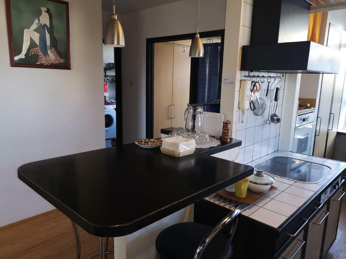 Accommodatie bij particulieren 冰岛雷克雅未克市中心kringlan别墅 *